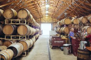 Brewery Tour