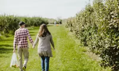 Apple picking in Saugatuck