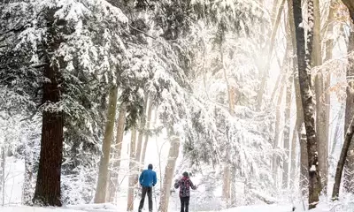 Saugatuck Dunes State Park skiing