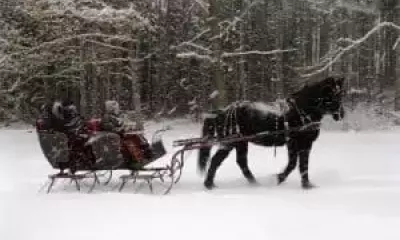 Sleigh Ride through the woods